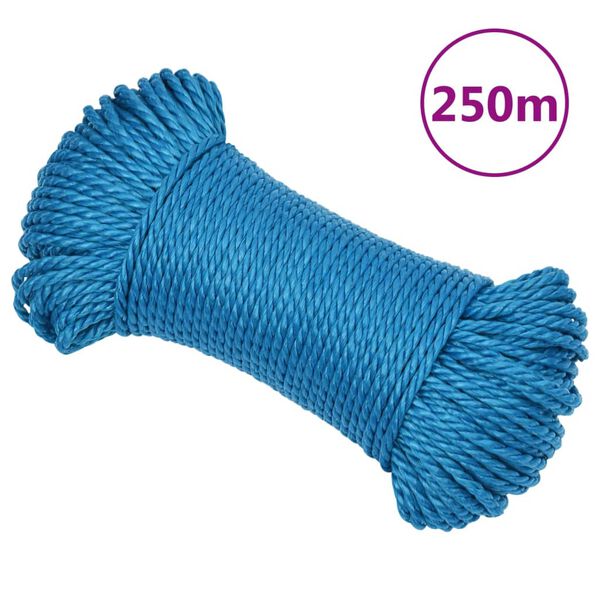 1 / 6. term&eacute;kk&eacute;p megjelen&iacute;t&eacute;se