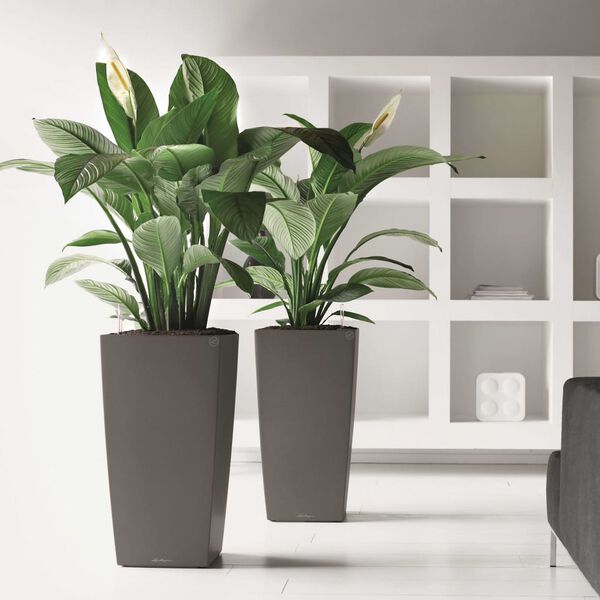 LECHUZA Cubico 40 ALL-IN-ONE antracit színű virágtartó