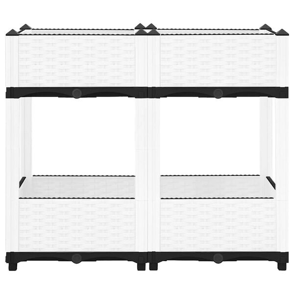 3 / 8. term&eacute;kk&eacute;p megjelen&iacute;t&eacute;se