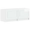 High_gloss_white