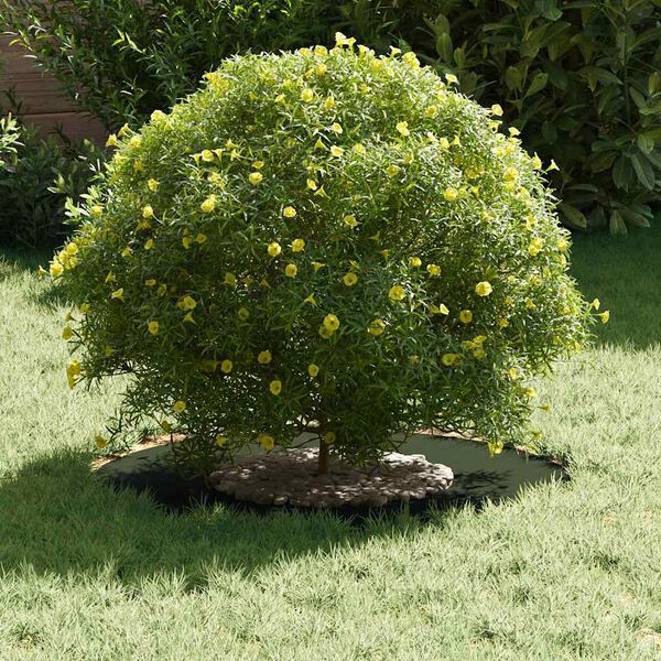 vidaXL Alkalmas lapos fa gyűrűkhez 5 pcs Oliva z&ouml;ld &Oslash;30 / 60 cm Ac&eacute;l