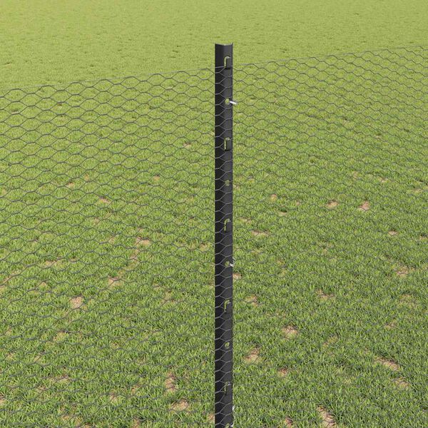 4 / 14. term&eacute;kk&eacute;p megjelen&iacute;t&eacute;se
