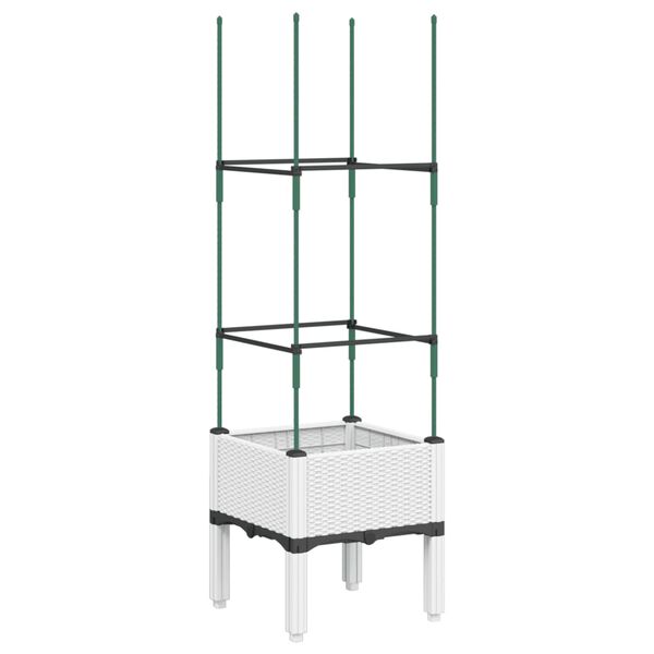 1 / 7. term&eacute;kk&eacute;p megjelen&iacute;t&eacute;se