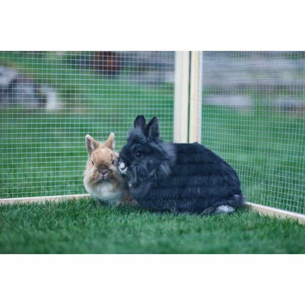 Kerbl Vario 84399 barna fa k&uuml;lt&eacute;ri &aacute;llatketrec