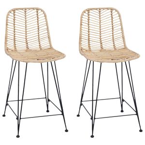 vidaXL B&aacute;rsz&eacute;k 2 db Term&eacute;szetes 44,5 x 54,5 x 97,5 cm Rattan &eacute;s Vas