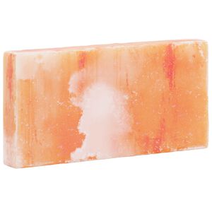vidaXL S&oacute; K&ouml;vek 10 pcs R&oacute;zsasz&iacute;n 20 x 2,5 x 10 cm S&oacute; Kő
