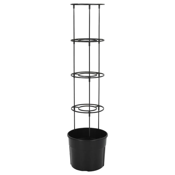 4 / 6. term&eacute;kk&eacute;p megjelen&iacute;t&eacute;se