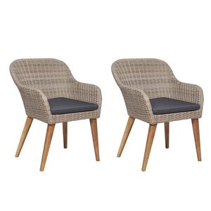 vidaXL 2 db barna polyrattan k&uuml;lt&eacute;ri sz&eacute;k p&aacute;rn&aacute;val