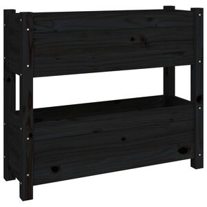 vidaXL fekete t&ouml;m&ouml;r fenyőfa n&ouml;v&eacute;nytart&oacute; 77x25x66 cm