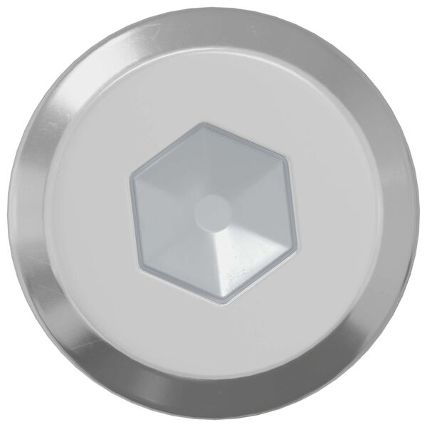 vidaXL Z&aacute;r Csavar Egysz&iacute;nű 2 pcs Ez&uuml;st M6 x 30 mm Ac&eacute;l