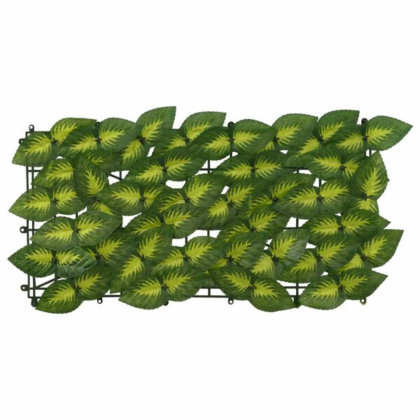 3 / 6. term&eacute;kk&eacute;p megjelen&iacute;t&eacute;se