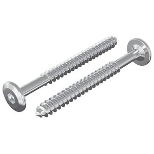 vidaXL Fa Csavarok 2 db Ez&uuml;st M6 x 70 mm Ac&eacute;l