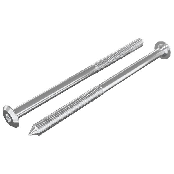 vidaXL B&uacute;torcsavarok 2 pcs Ez&uuml;st M6 x 100 mm Ac&eacute;l