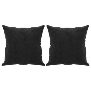 vidaXL 2 db fekete b&aacute;rsony d&iacute;szp&aacute;rna 40 x 40 cm