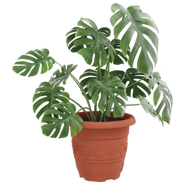 3 / 9. term&eacute;kk&eacute;p megjelen&iacute;t&eacute;se