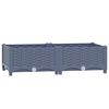 Blue_grey