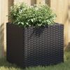 vidaXL 2 db fekete polyrattan kerti &uuml;ltetől&aacute;da 36x30x32 cm