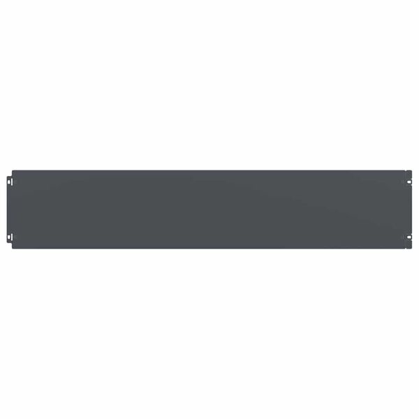 vidaXL 10 db antracit hidegen hengerelt ac&eacute;l gyepszeg&eacute;lyek 20x103 cm