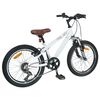 vidaXL Kids Mountain Bike 20 H&uuml;velyk 6-Speed 5-8 &eacute;ves korig val&oacute; Feh&eacute;r