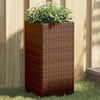 vidaXL 2 db barna polyrattan kerti &uuml;ltetől&aacute;da 30x30x60 cm