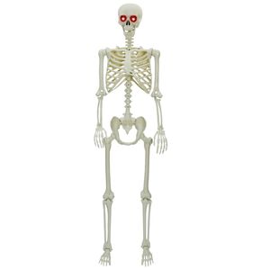 vidaXL Halloween Csontv&aacute;z Feh&eacute;r 155 x 38,5 cm Polipropil&eacute;n
