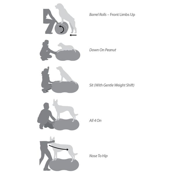 FitPAWS Trax Peanut s&aacute;rga kis&aacute;llat-egyens&uacute;lyoz&oacute; platform 40 cm