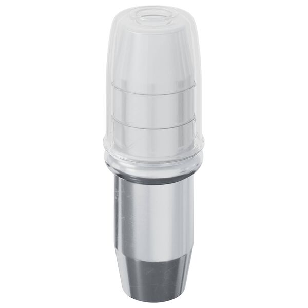 vidaXL Polc Peg 12 pcs Ez&uuml;st 7 x 16 mm Vas