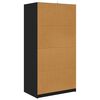vidaXL Cabinet fi&oacute;kkal t&aacute;rol&oacute;val Fekete 79,5 x 49 x 156 cm M&eacute;rn&ouml;ki fa