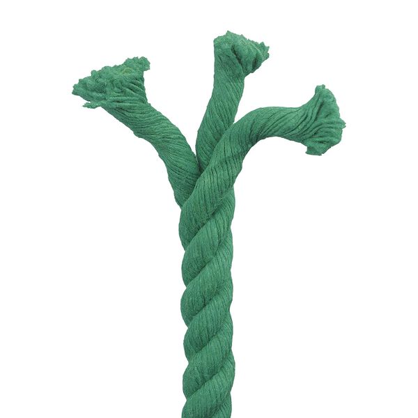 4 / 5. term&eacute;kk&eacute;p megjelen&iacute;t&eacute;se