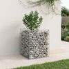 vidaXL Gabion emelt &aacute;gy Ez&uuml;st 50 x 50 x 60 cm Horganyzott ac&eacute;l