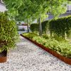 vidaXL 50 db rugalmas corten ac&eacute;l gyepszeg&eacute;ly 15 x 103 cm