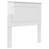 High_gloss_white