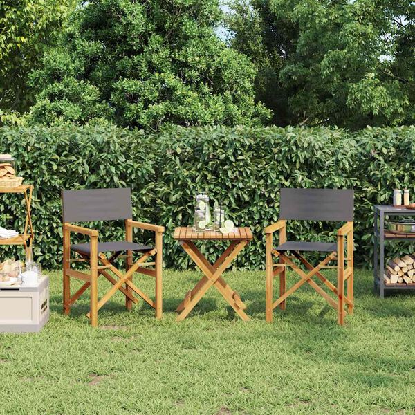 vidaXL 2 db sz&uuml;rke t&ouml;m&ouml;r t&iacute;kfa &ouml;sszecsukhat&oacute; rendezői sz&eacute;k