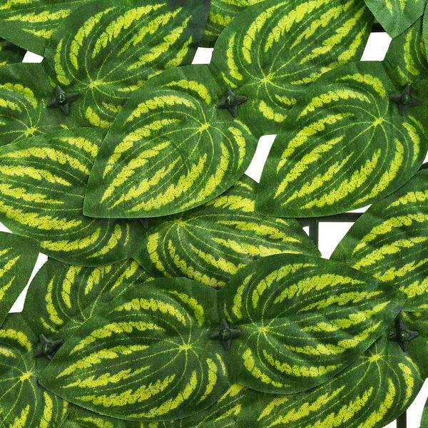 4 / 6. term&eacute;kk&eacute;p megjelen&iacute;t&eacute;se