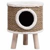 Term&eacute;kindexk&eacute;p: 3 / 8