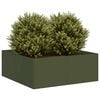 Olive_green
