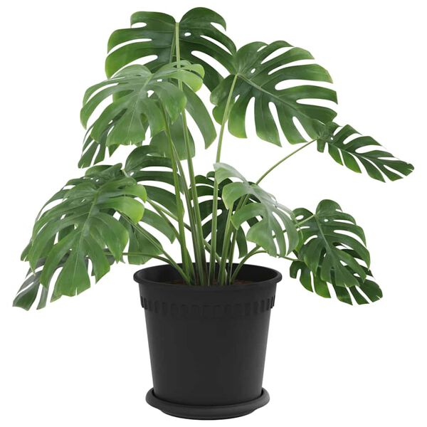 vidaXL N&ouml;v&eacute;nycser&eacute;p 24 pcs Fekete &Oslash; 19 x 16 cm Műanyag