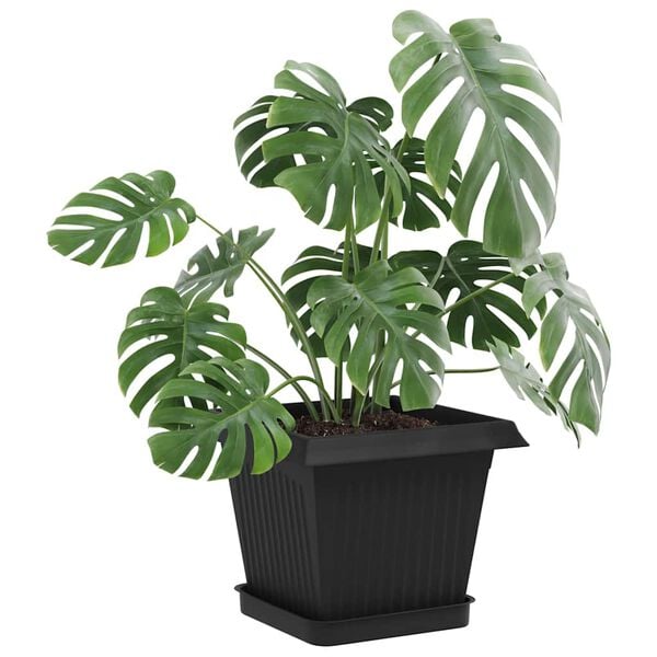 3 / 10. term&eacute;kk&eacute;p megjelen&iacute;t&eacute;se