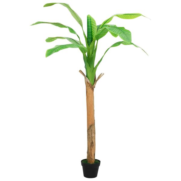 2 / 7. term&eacute;kk&eacute;p megjelen&iacute;t&eacute;se