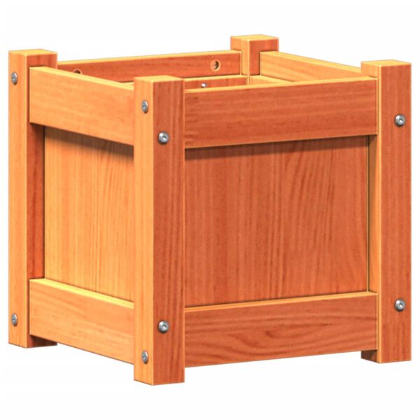 1 / 11. term&eacute;kk&eacute;p megjelen&iacute;t&eacute;se