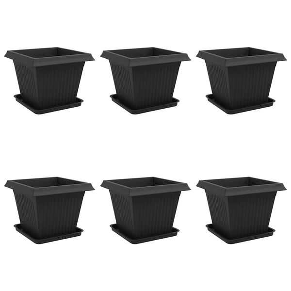 1 / 12. term&eacute;kk&eacute;p megjelen&iacute;t&eacute;se