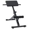 vidaXL Hyperextension pad Fekete 100,5 x 70 x 78 cm Porsz&oacute;rt ac&eacute;l