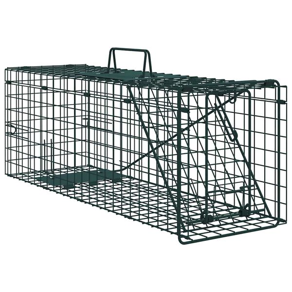 1 / 5. term&eacute;kk&eacute;p megjelen&iacute;t&eacute;se