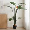 Term&eacute;kindexk&eacute;p: 2 / 6