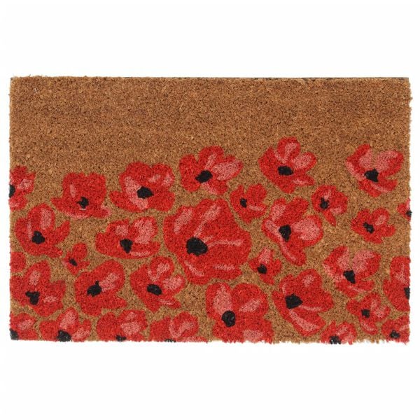 1 / 6. term&eacute;kk&eacute;p megjelen&iacute;t&eacute;se