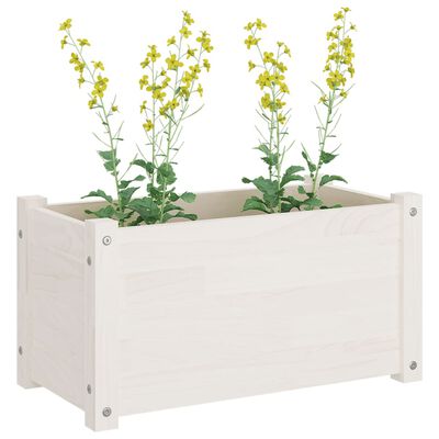 vidaXL fehér tömör fenyő kerti virágláda 60 x 31 x 31 cm