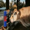 Term&eacute;kindexk&eacute;p: 2 / 9