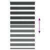 Term&eacute;kindexk&eacute;p: 5 / 16