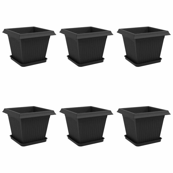 1 / 12. term&eacute;kk&eacute;p megjelen&iacute;t&eacute;se
