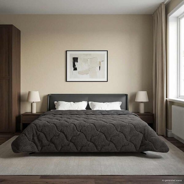 vidaXL T&eacute;li takar&oacute; Antracit 200 x 240 cm Mikrosz&aacute;las &eacute;s Teddy pl&uuml;ss